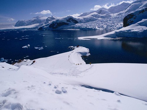 南極冰原。圖片提供：陳維滄
