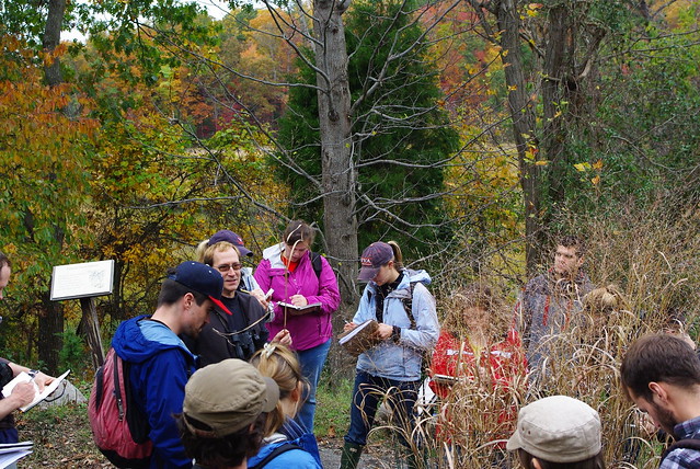 Field Education on Native Plants at York River State Park
