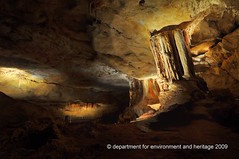 naracoorte caves