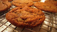 Ginger cookies on the rack