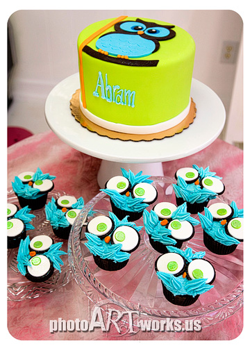 Owl baby shower cake and cupcakes