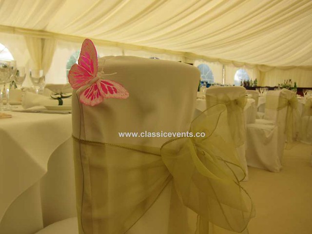 Tailored chair covers on Cheltenham Chairs dressed with pretty sage organza