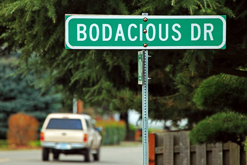 Bodacious Drive