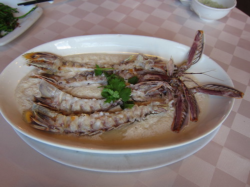 Sabah Ocean Seafood Village Mantis Prawn