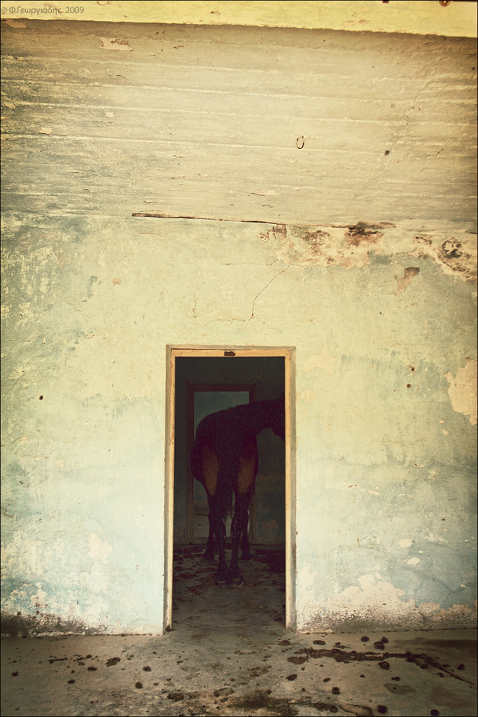 άλογο στα Βρέτσια / horse