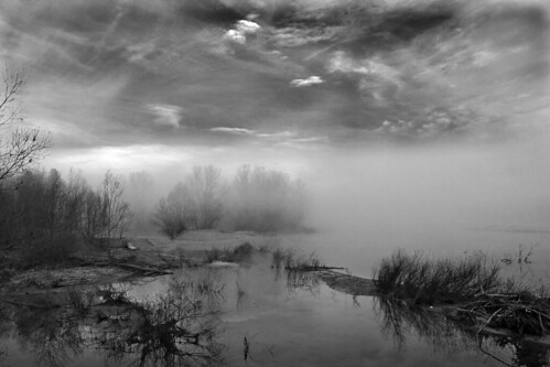 La nebbia crea un'atmosfera... by Claudio61 una foto ferma un ricordo nel tempo