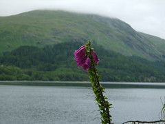 Lake District - July 2007