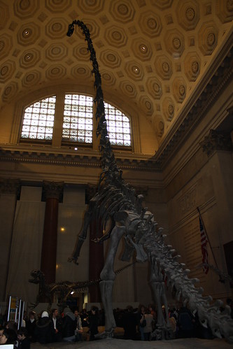 American Museum of Natural History 2010