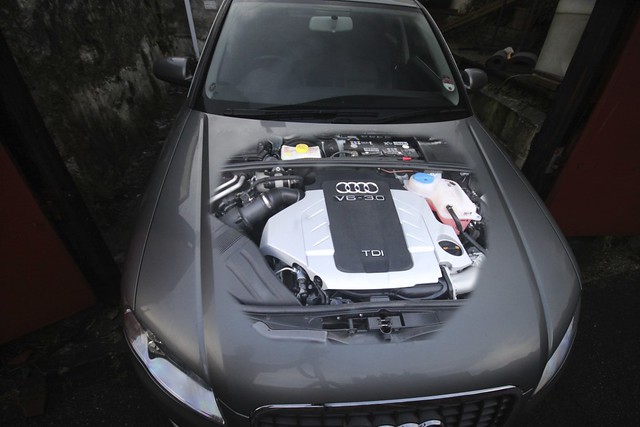 Audi A4 hood and donk Flickr Photo Sharing