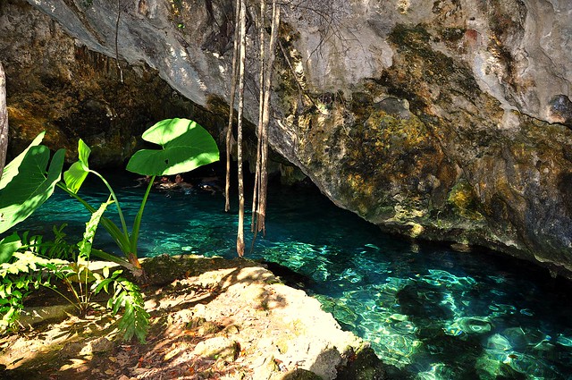 the Gran Cenote    Mexico