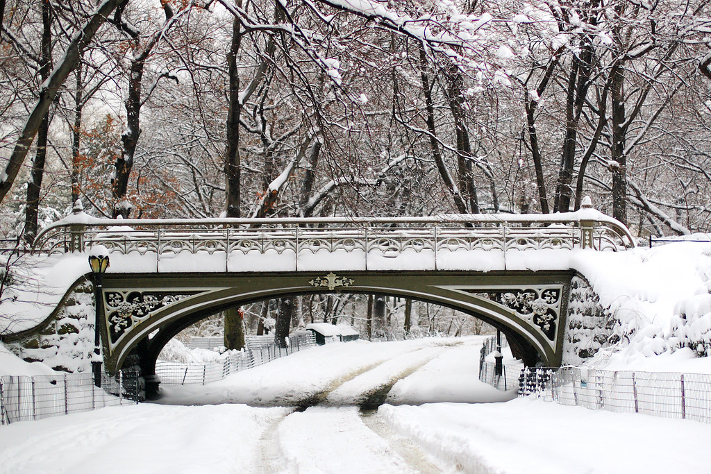 Neve no Central Park