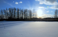 2011 Winter