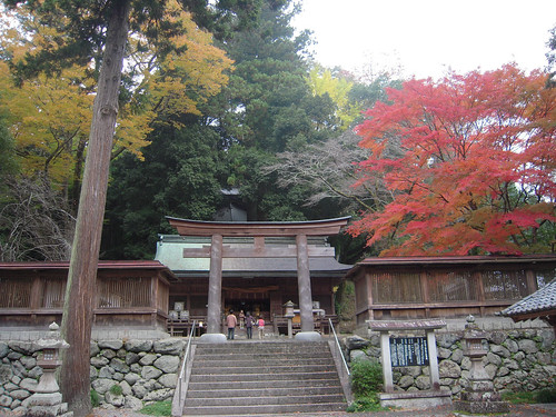 丹生川上神社下社 - Niu kawawami shrine shimosha // 2010.11.14 - 02