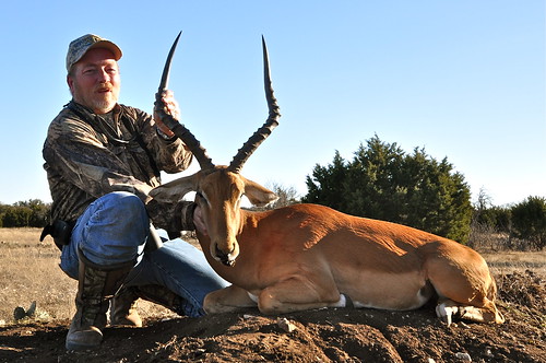 Texas Exotic Hunting Packages | Texas Premier Hunting Ranch | V-Bharre Ranch