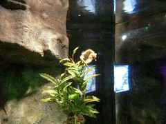 2011.02 SERRIS - Aquarium Sea Life 