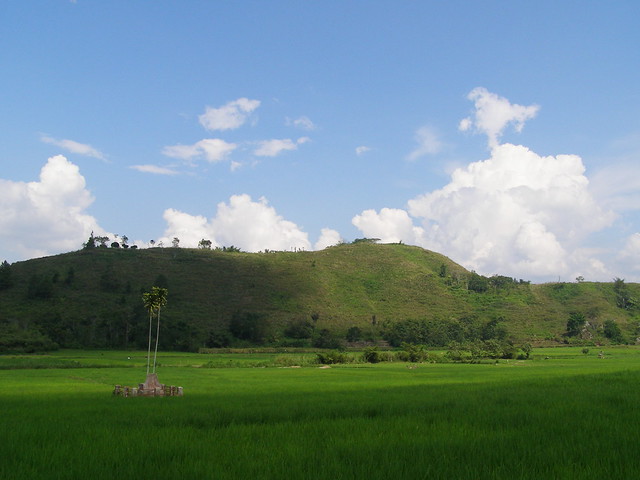 稻田与绿山