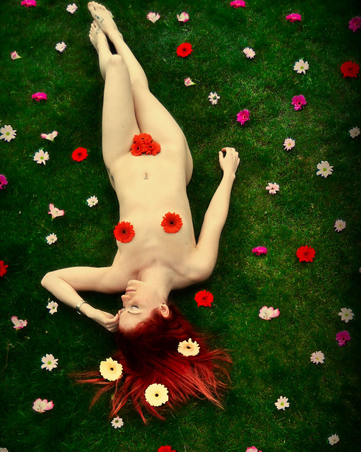 daydreams i fell asleep beneath the flowers