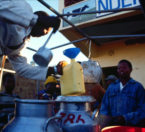 Collecting milk in Kenya's informal market