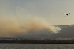 Lefthand Canyon Wildfire 3-11-2011