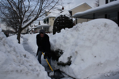 January 29, 2011 Snow