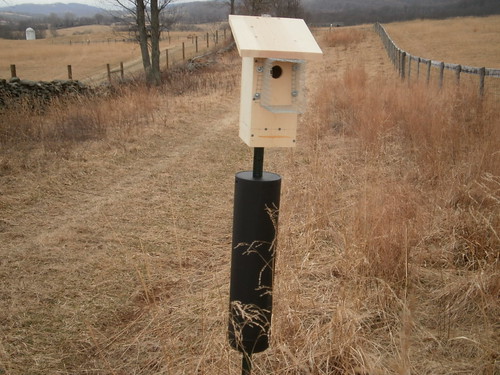 Bird House at Sky Meadows State Park.