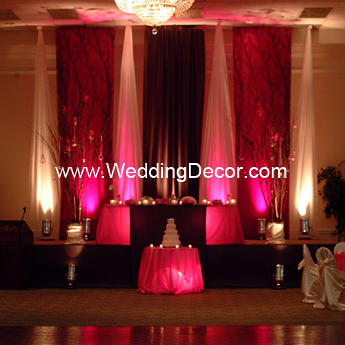 Brown Fuchsia Wedding Reception Backdrop