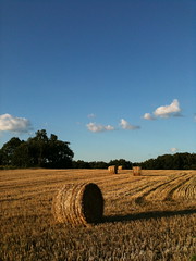 hay bail in a field 3