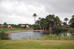 Golf Palmeraie Marrakech