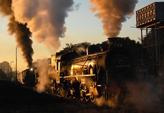 2010 South African Steam Tour