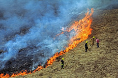 Saddleworth/Marsden Moorland Fire