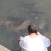 Pilger am Jordan mit riesigen Fischen im Fluss
