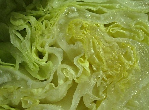 iceberg lettuce 2