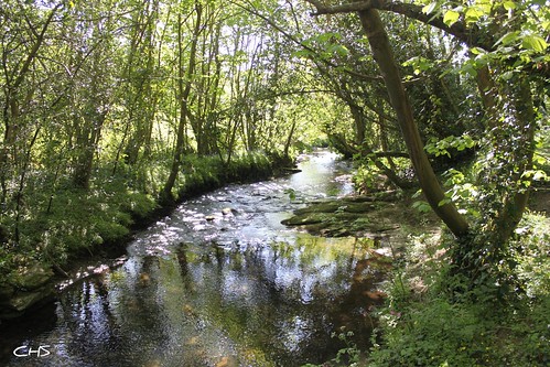 The River Allen, near Idless (Truro) by Stocker Images