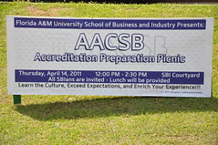 AACSB Preparation Picnic
