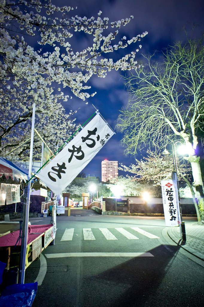 夜桜 2012