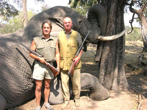   el rey de españa cazando elefantes en botswana   
