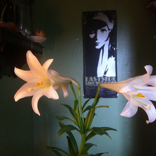Lilies and Louise