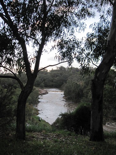 Yarra at Dight's Falls 52/20/2 by Collingwood Historical Society