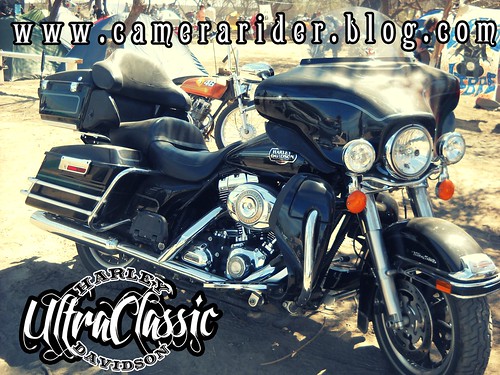 Harley Davidson. Ultra Classic. By www.camerarider.blog.com by [º(o) ] Camerarider