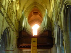 Les orgues ,intérieur Eglise ou autres