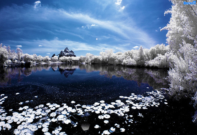 Winter Expedition To Disney's Everest (Infrared Image)