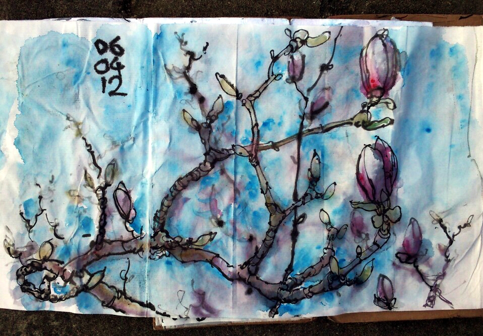 magnolia 060412