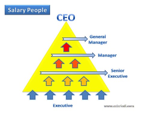 Salary People Triangle