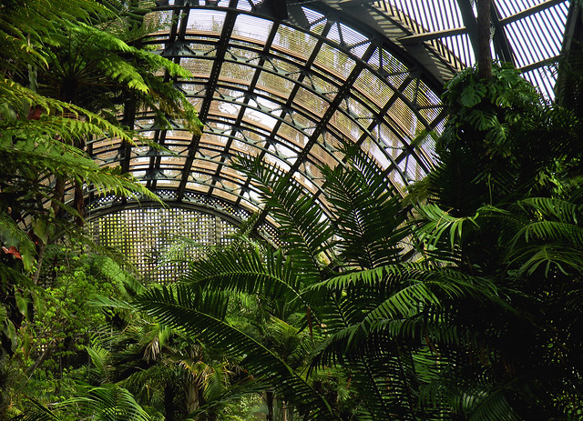 Inside the Botanical Building