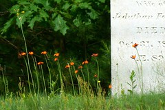 Farrar Cemetery - Belmont NH