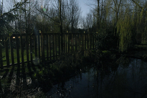 Pond and Fence by Moonlight