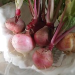From the garden…Radishes - 3