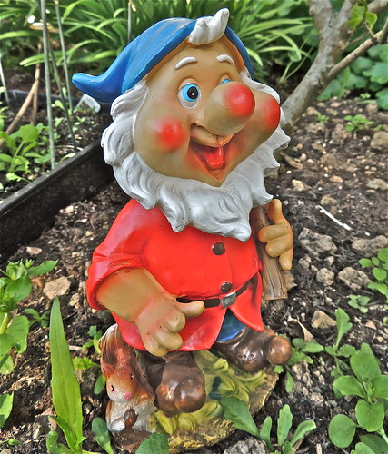 Meet "Gnomeo", My Friendly Garden Helper .......(182/365) by Irene_A_