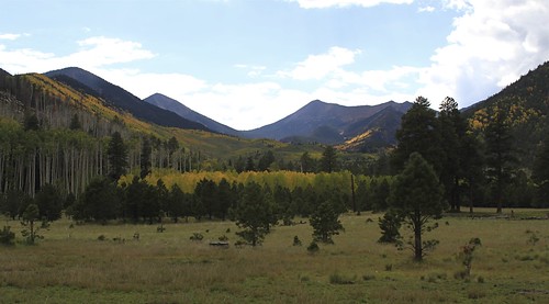 Lockett Meadow by Coconino National Forest