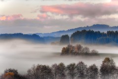 Fog / Nebel